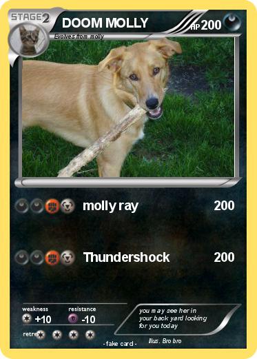 Pokemon DOOM MOLLY