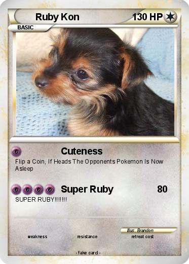 Pokemon Ruby Kon