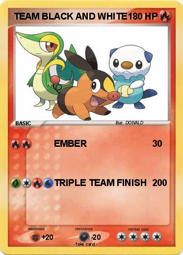 Pokemon TEAM BLACK AND WHITE