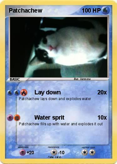 Pokemon Patchachew