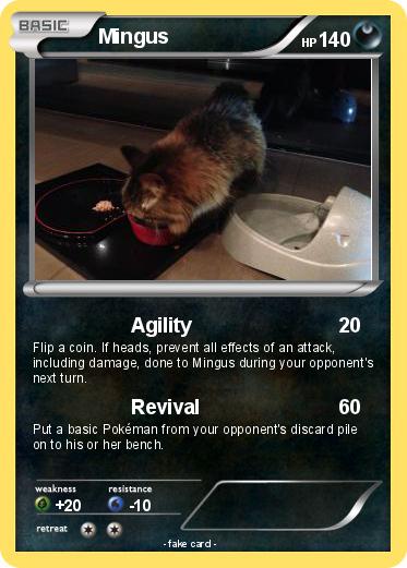 Pokemon Mingus