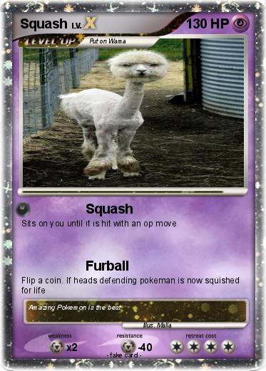 Pokemon Squash