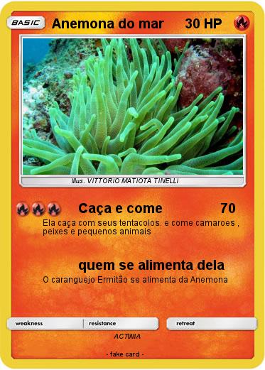 Pokemon Anemona do mar