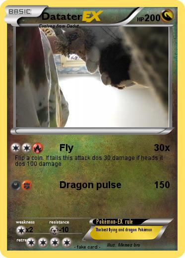 Pokemon Datater