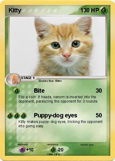 Pokemon Kitty