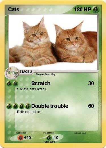Pokemon Cats