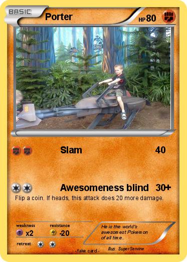 Pokemon Porter