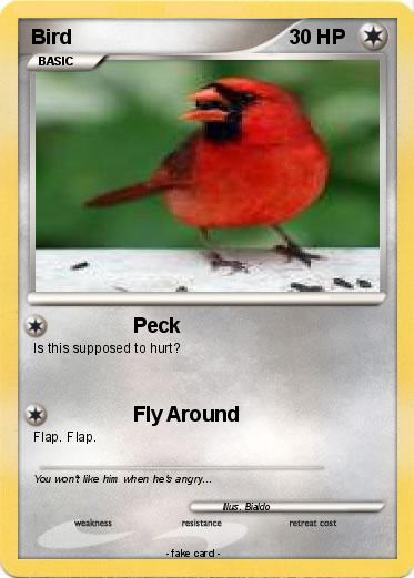 Pokemon Bird