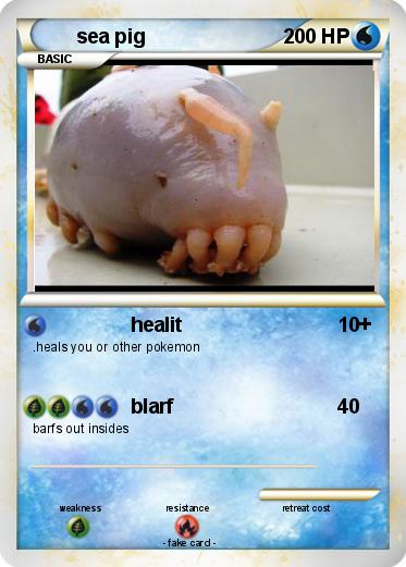 Pokemon sea pig