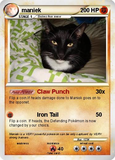 Pokemon maniek