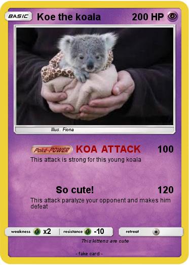 Pokemon Koe the koala