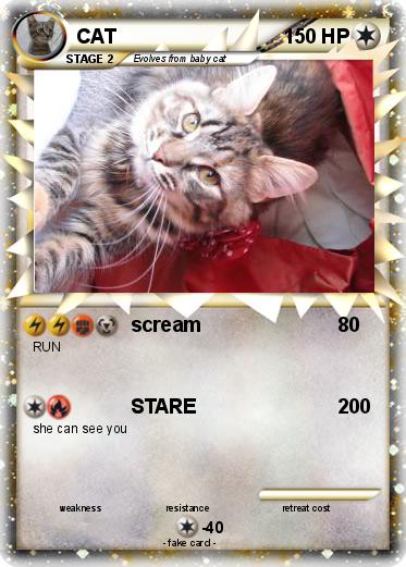Pokemon CAT