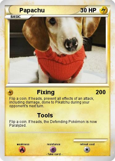 Pokemon Papachu