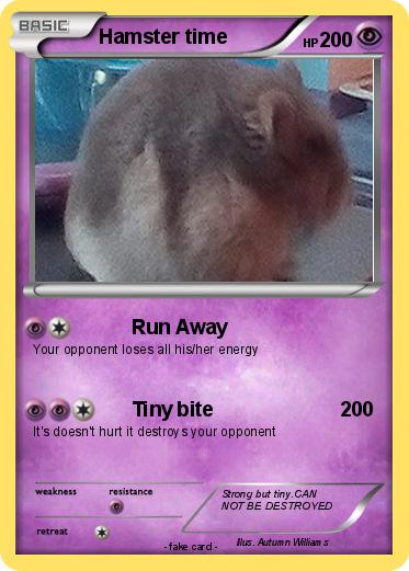Pokemon Hamster time