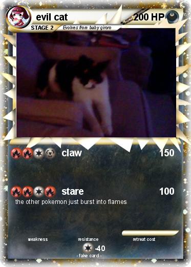 Pokemon evil cat
