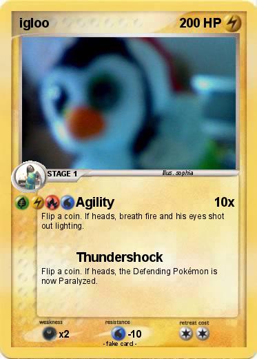 Pokemon igloo