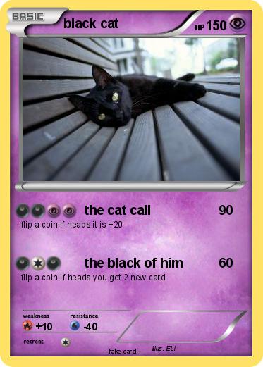 Pokemon black cat