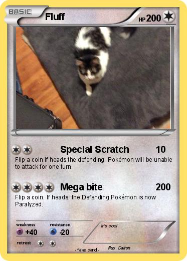 Pokemon Fluff