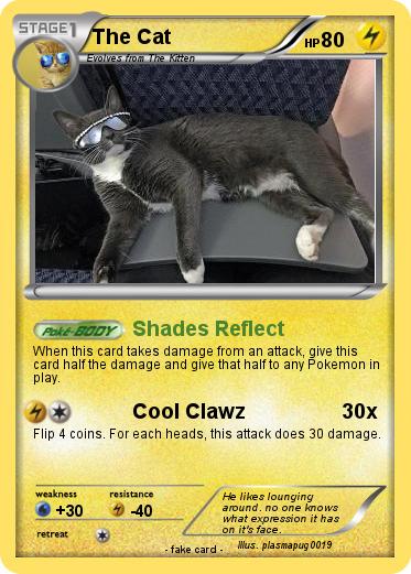 Pokemon The Cat