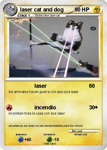 Pokemon laser cat and dog