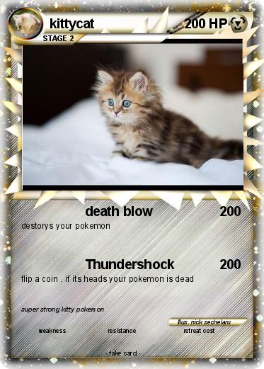 Pokemon kittycat