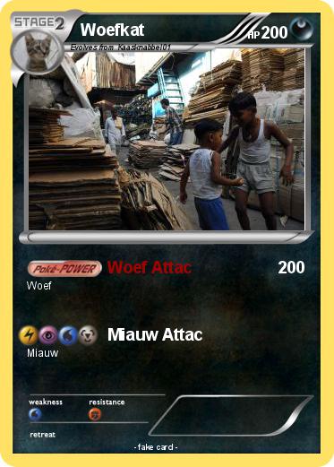 Pokemon Woefkat