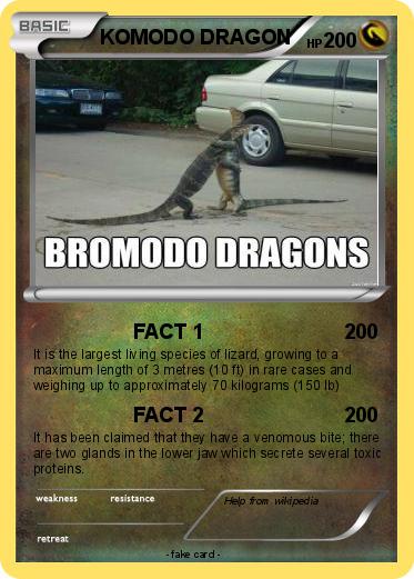 Pokemon KOMODO DRAGON