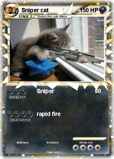 Pokemon Sniper cat