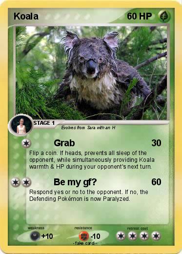 Pokemon Koala