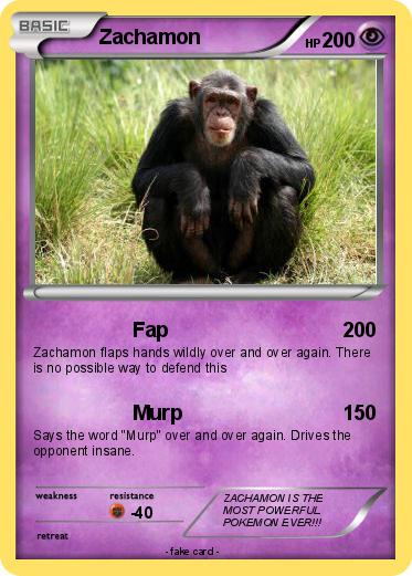 Pokemon Zachamon