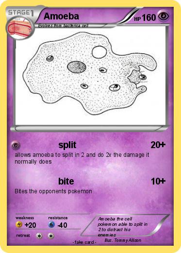 Pokemon Amoeba