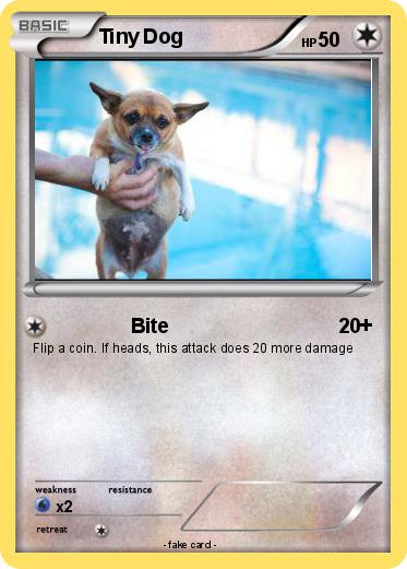 Pokemon Tiny Dog