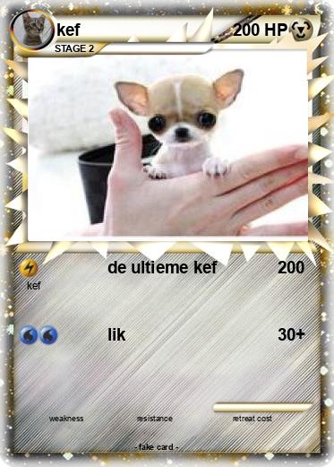 Pokemon kef