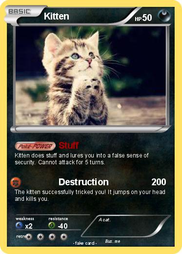 Pokemon Kitten