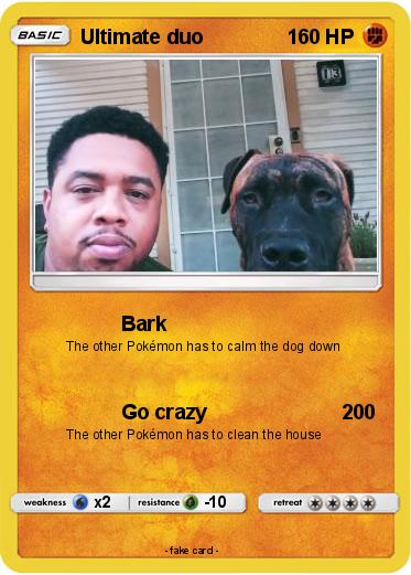 Pokemon Ultimate duo