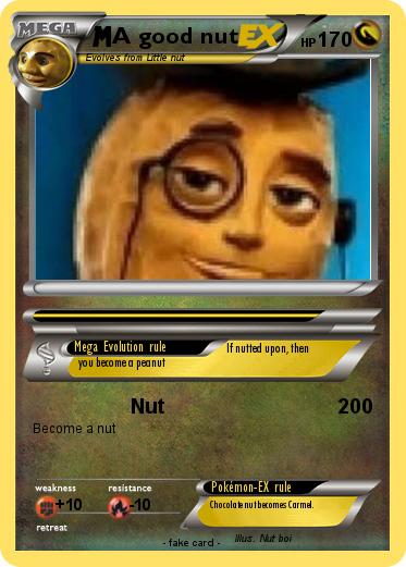 Pokemon A good nut