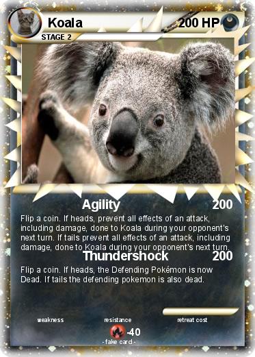 Pokemon Koala