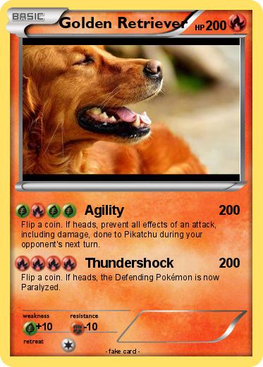 Pokemon Golden Retriever