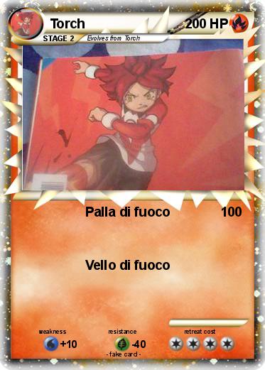 Pokemon Torch