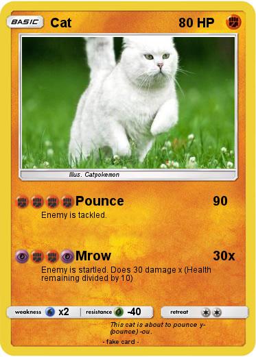 Pokemon Cat