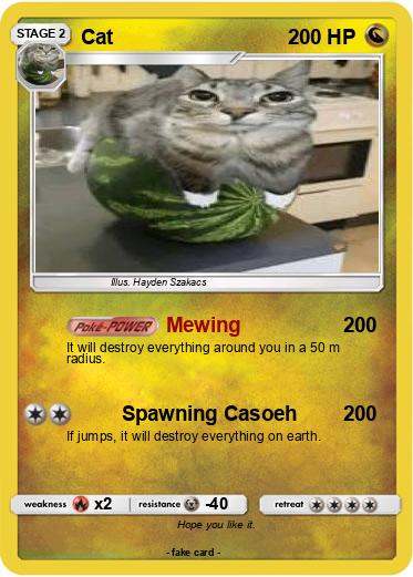 Pokemon Cat