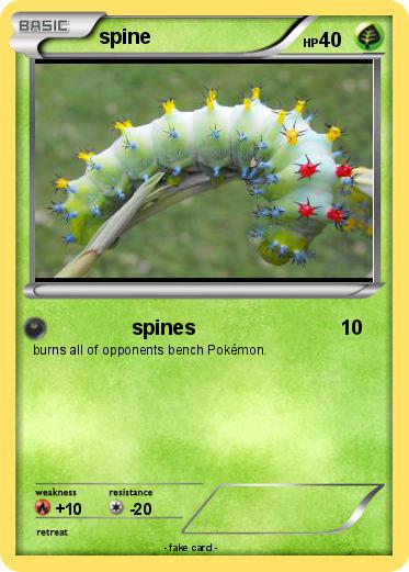 Pokemon spine