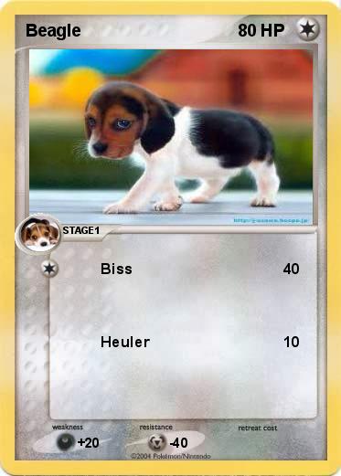 Pokemon Beagle