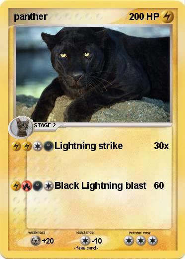 Pokemon panther