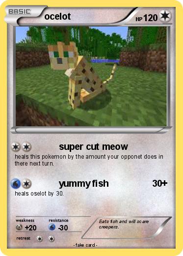 Pokemon ocelot