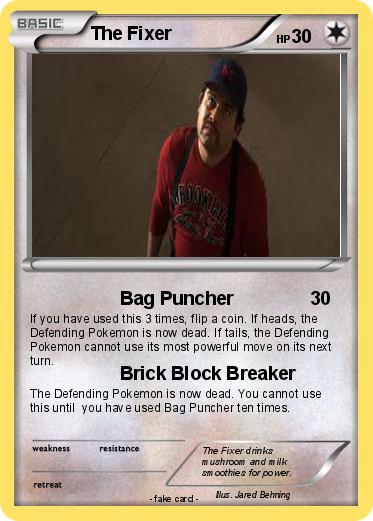 Pokemon The Fixer