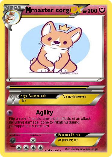 Pokemon master corgi