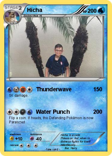 Pokemon Hicha