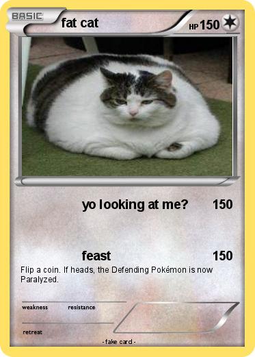 Pokemon fat cat