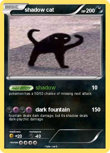 Pokemon shadow cat